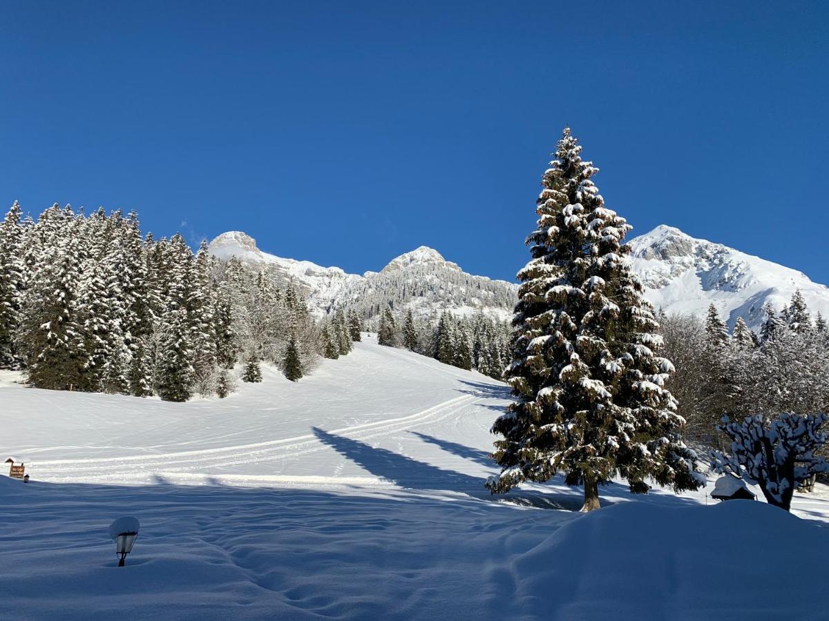 Hotel Piccola Baita Molveno Exteriér fotografie